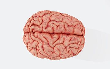 8 Brain Cancer Myths You Need to Stop Believing