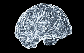Brain Tumors vs. Brain Cancer: Distinctions and Facts