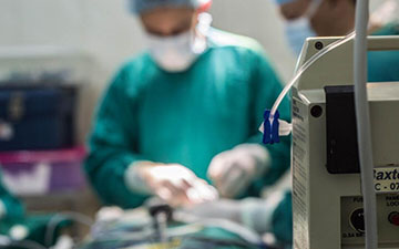 Exploring Brain Tumor Surgery and Recovery Options